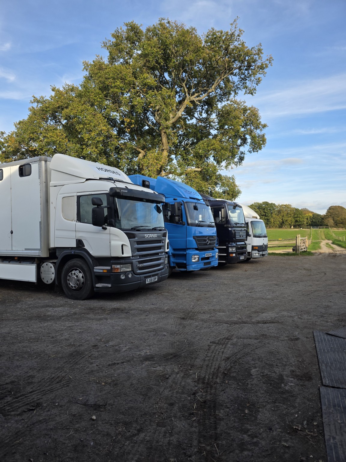 West Sussex Horse Transport lorries parked together
